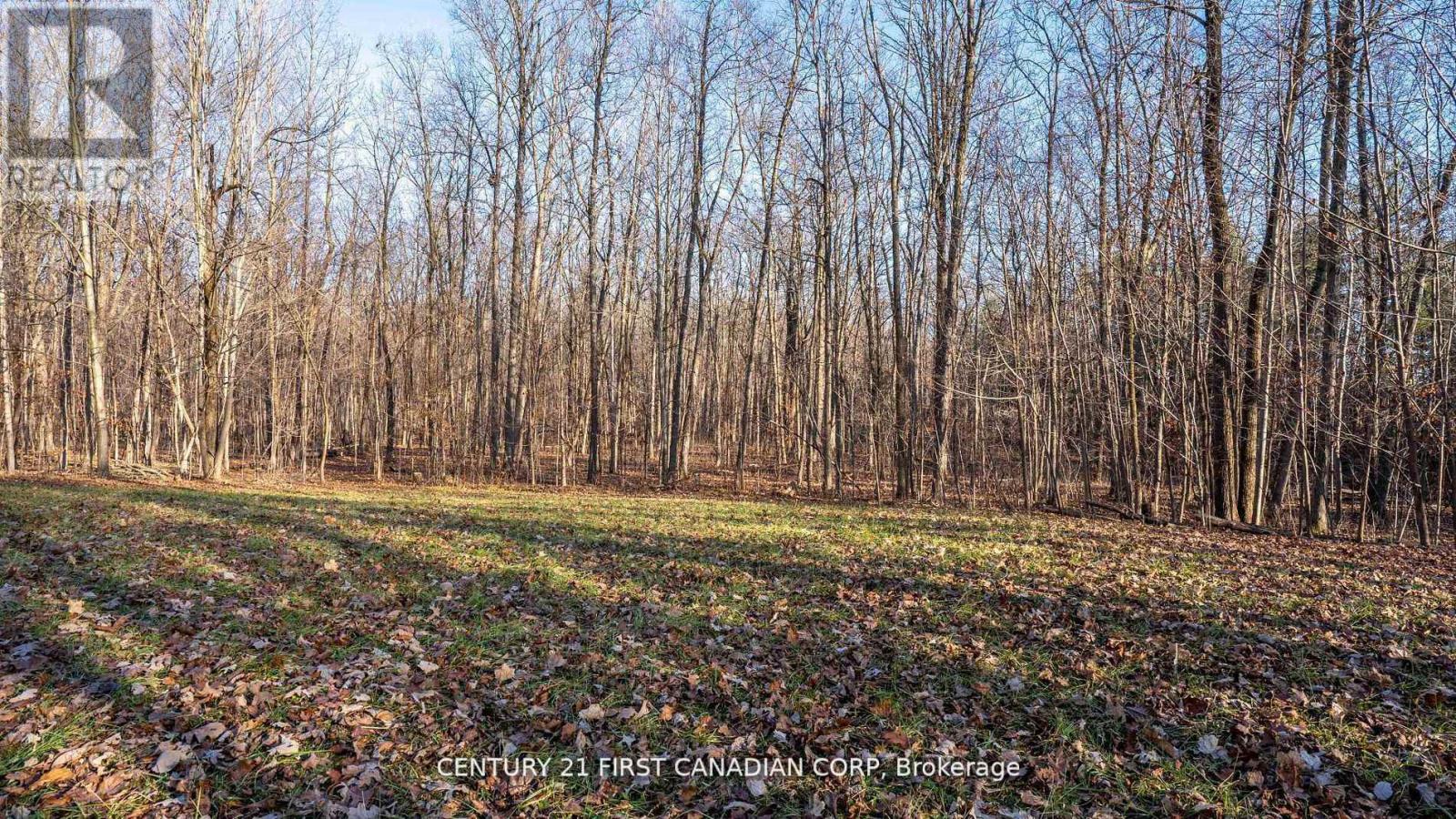 29709 Celtic Line S, Dutton/dunwich, Ontario  N0L 1J0 - Photo 10 - X12748170