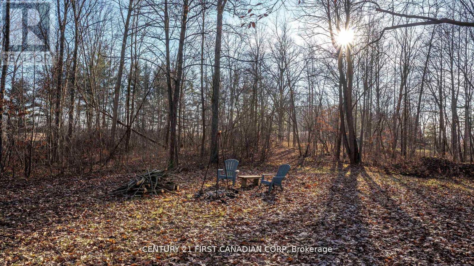 29709 Celtic Line S, Dutton/dunwich, Ontario  N0L 1J0 - Photo 13 - X12748170