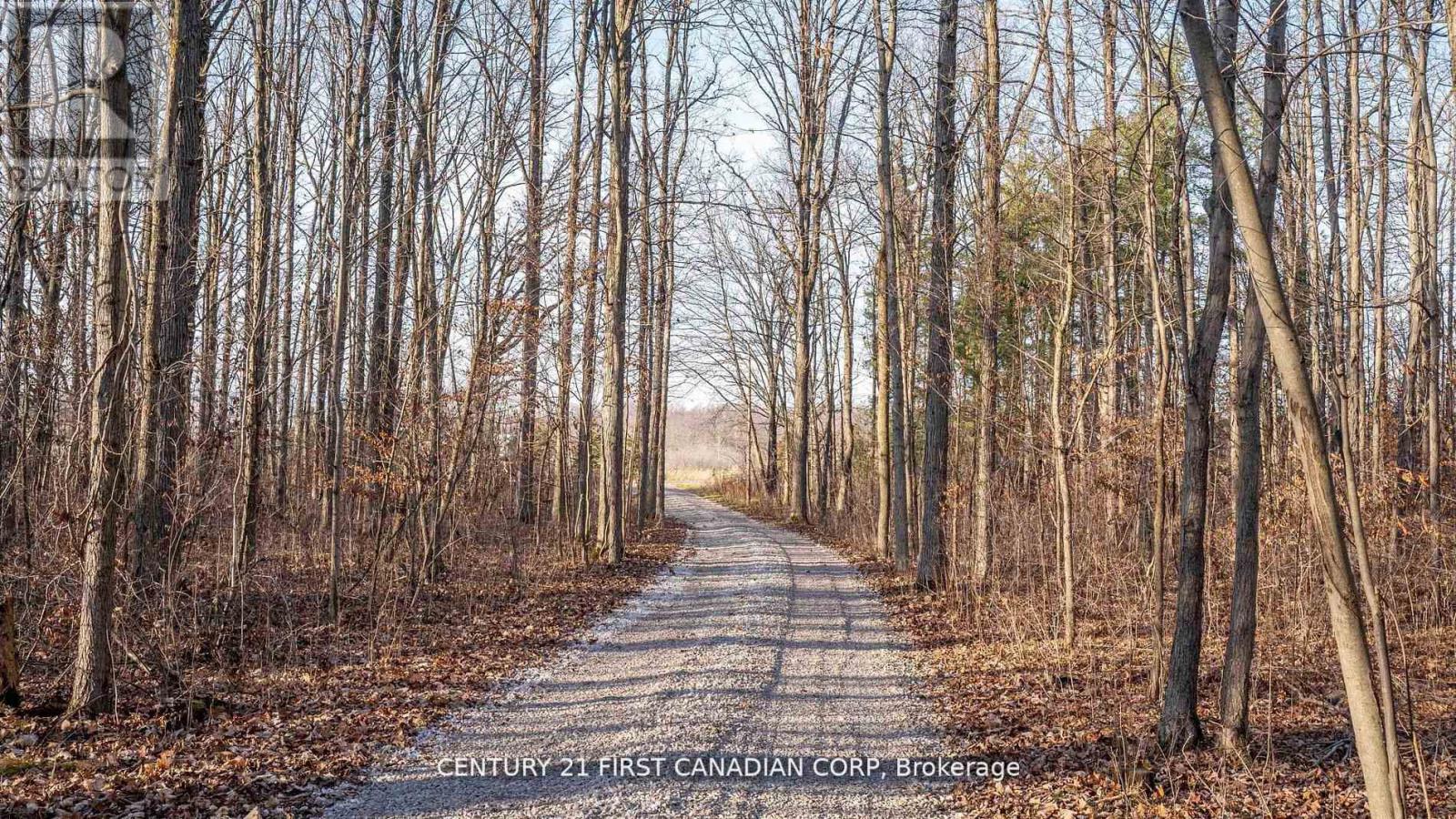 29709 Celtic Line S, Dutton/dunwich, Ontario  N0L 1J0 - Photo 16 - X12748170