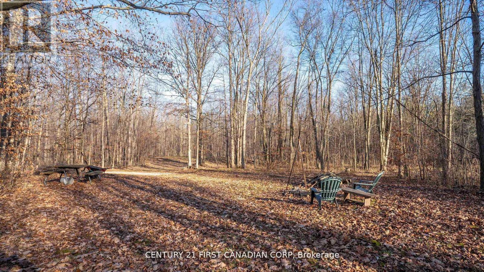 29709 Celtic Line S, Dutton/dunwich, Ontario  N0L 1J0 - Photo 17 - X12748170