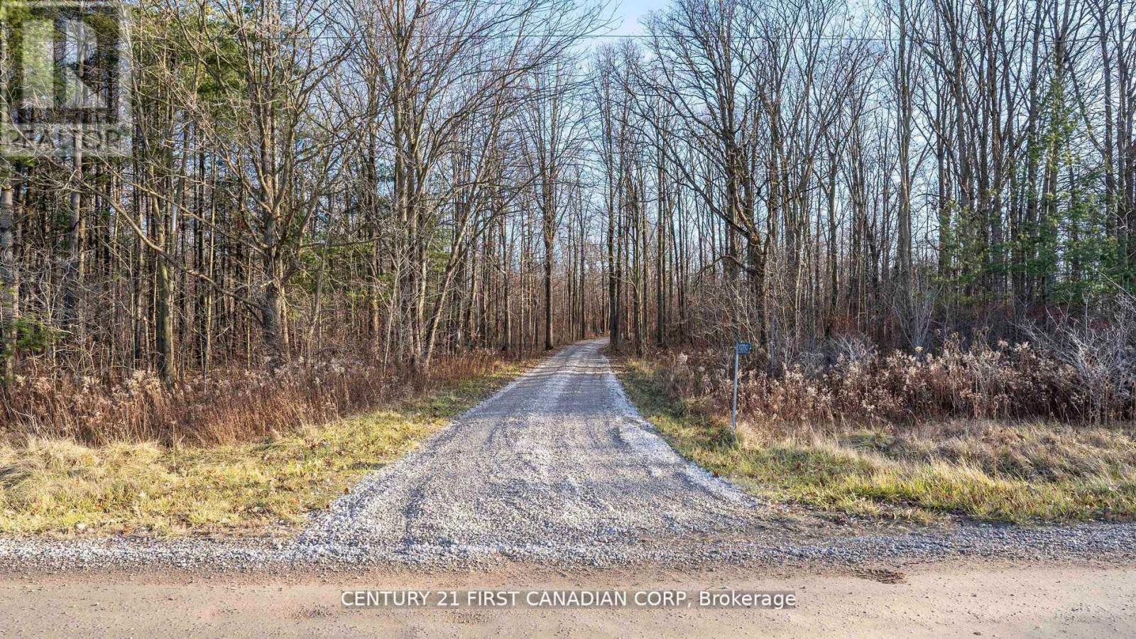 29709 Celtic Line S, Dutton/dunwich, Ontario  N0L 1J0 - Photo 3 - X12748170