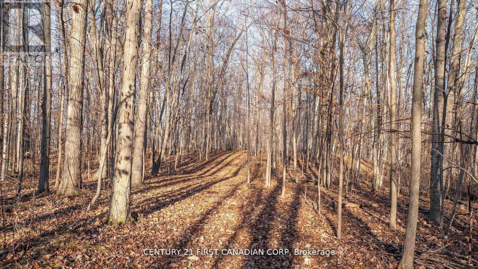 29709 Celtic Line S, Dutton/dunwich, Ontario  N0L 1J0 - Photo 6 - X12748170