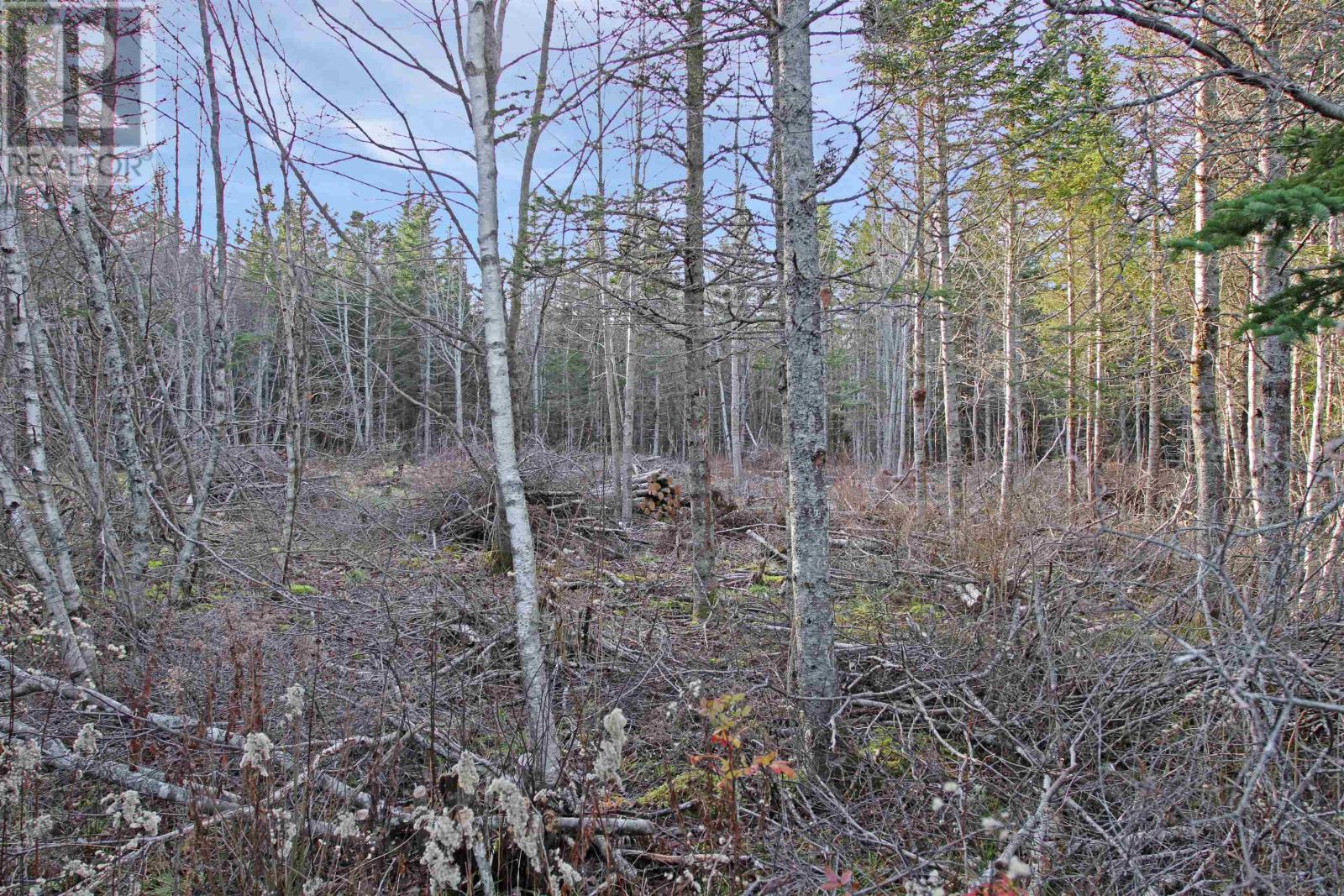 Lot Arlington Road, Mount Hanley, Nova Scotia  B0S 1M0 - Photo 10 - 202601887