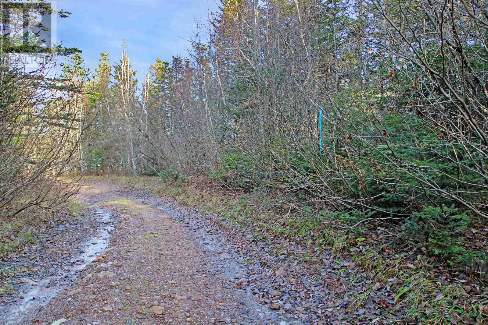 Lot Arlington Road, Mount Hanley, Nova Scotia  B0S 1M0 - Photo 11 - 202601887