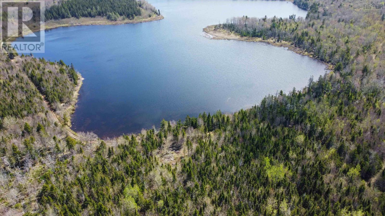 Lot Arlington Road, Mount Hanley, Nova Scotia  B0S 1M0 - Photo 17 - 202601887