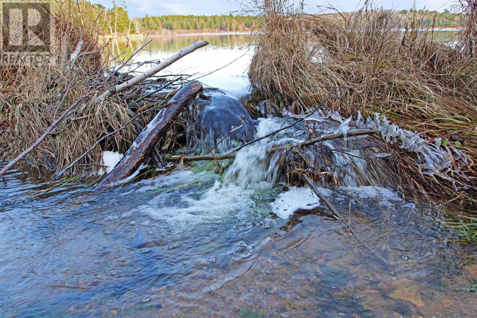 Lot Arlington Road, Mount Hanley, Nova Scotia  B0S 1M0 - Photo 7 - 202601887