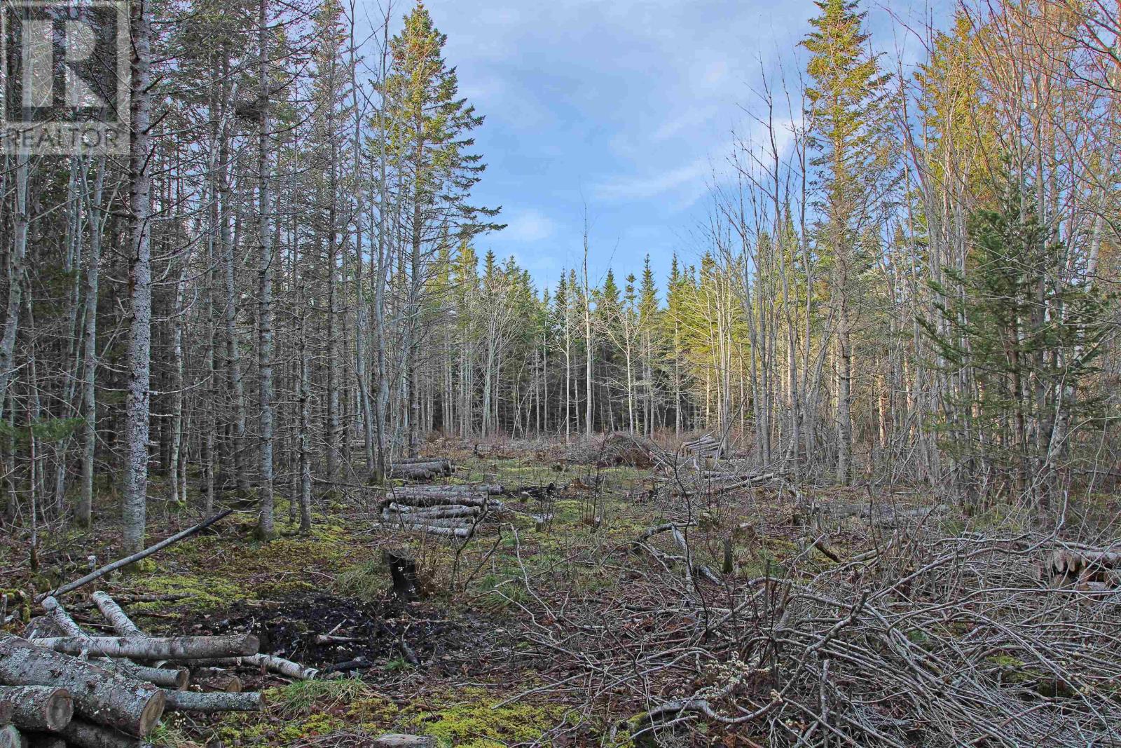 Lot Arlington Road, Mount Hanley, Nova Scotia  B0S 1M0 - Photo 9 - 202601887