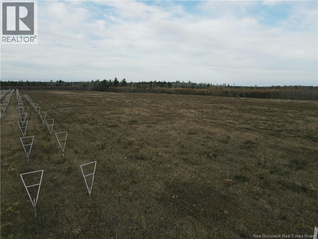 Lot Ch Perry, Sainte-Anne-De-Kent, New Brunswick  E4S 1C4 - Photo 15 - NB129422