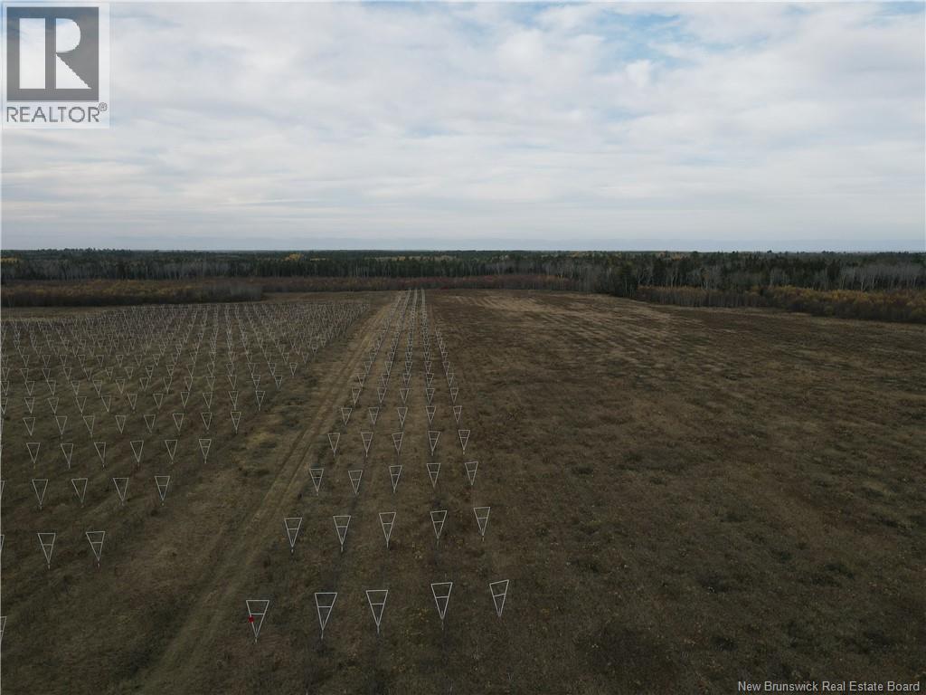 Lot Ch Perry, Sainte-Anne-De-Kent, New Brunswick  E4S 1C4 - Photo 12 - NB129422