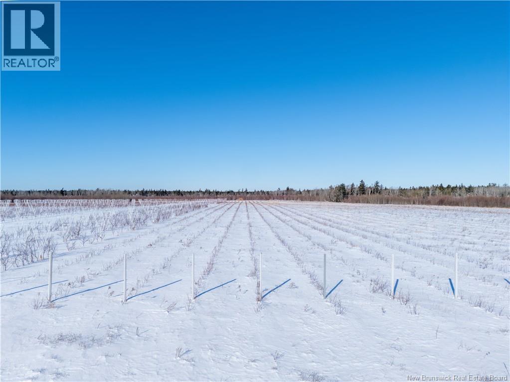 Lot Ch Perry, Sainte-Anne-De-Kent, New Brunswick  E4S 1C4 - Photo 11 - NB129422