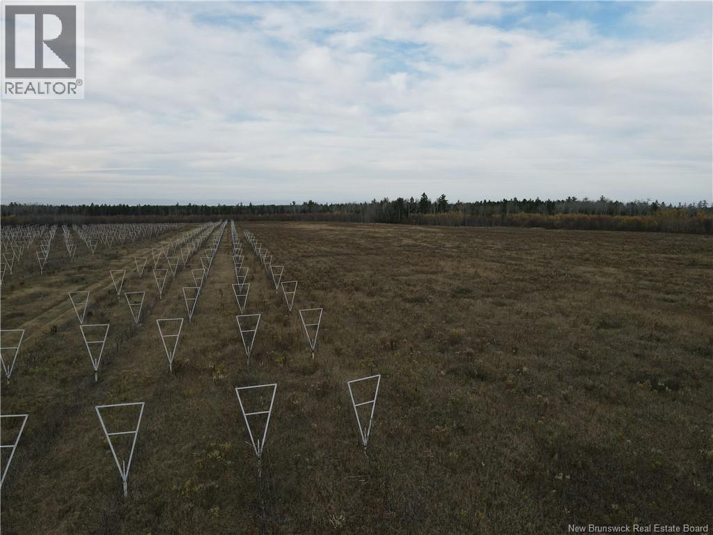 Lot Ch Perry, Sainte-Anne-De-Kent, New Brunswick  E4S 1C4 - Photo 16 - NB129422