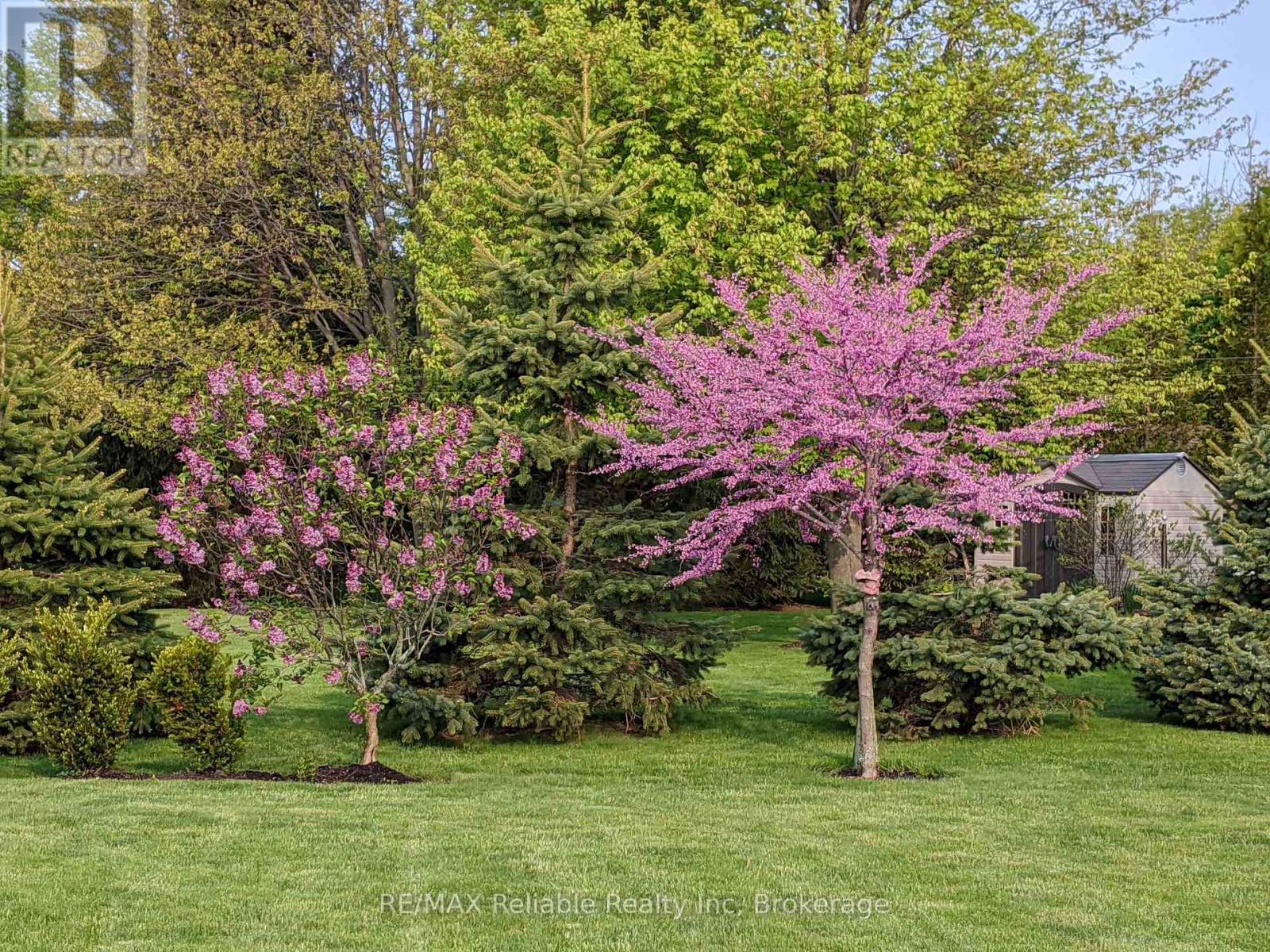 Photo 14 of 50 for 74767 Elm Crescent