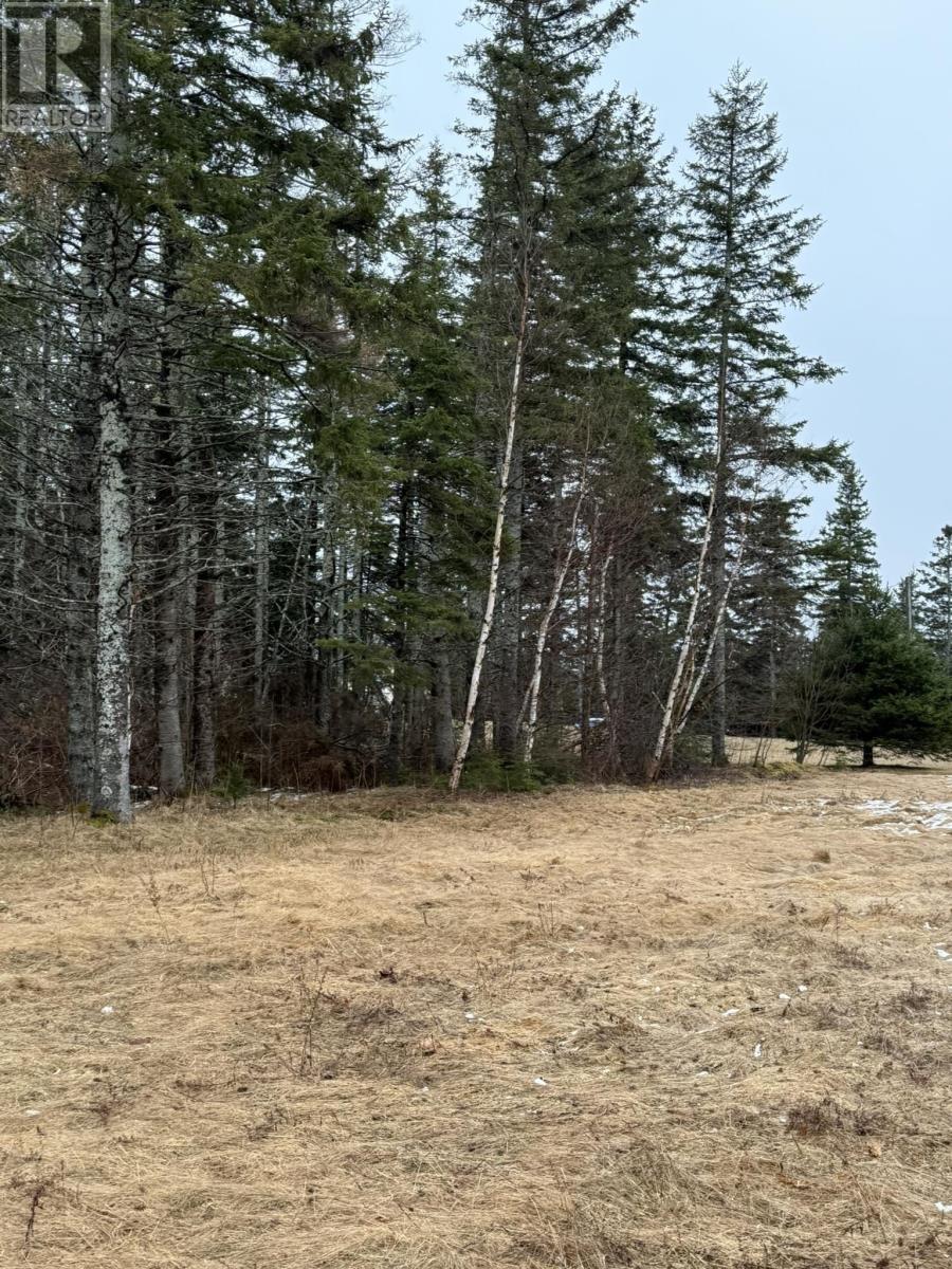 Lot Basin Head Road, Kingsboro, Prince Edward Island  C0A 2B0 - Photo 17 - 202601886