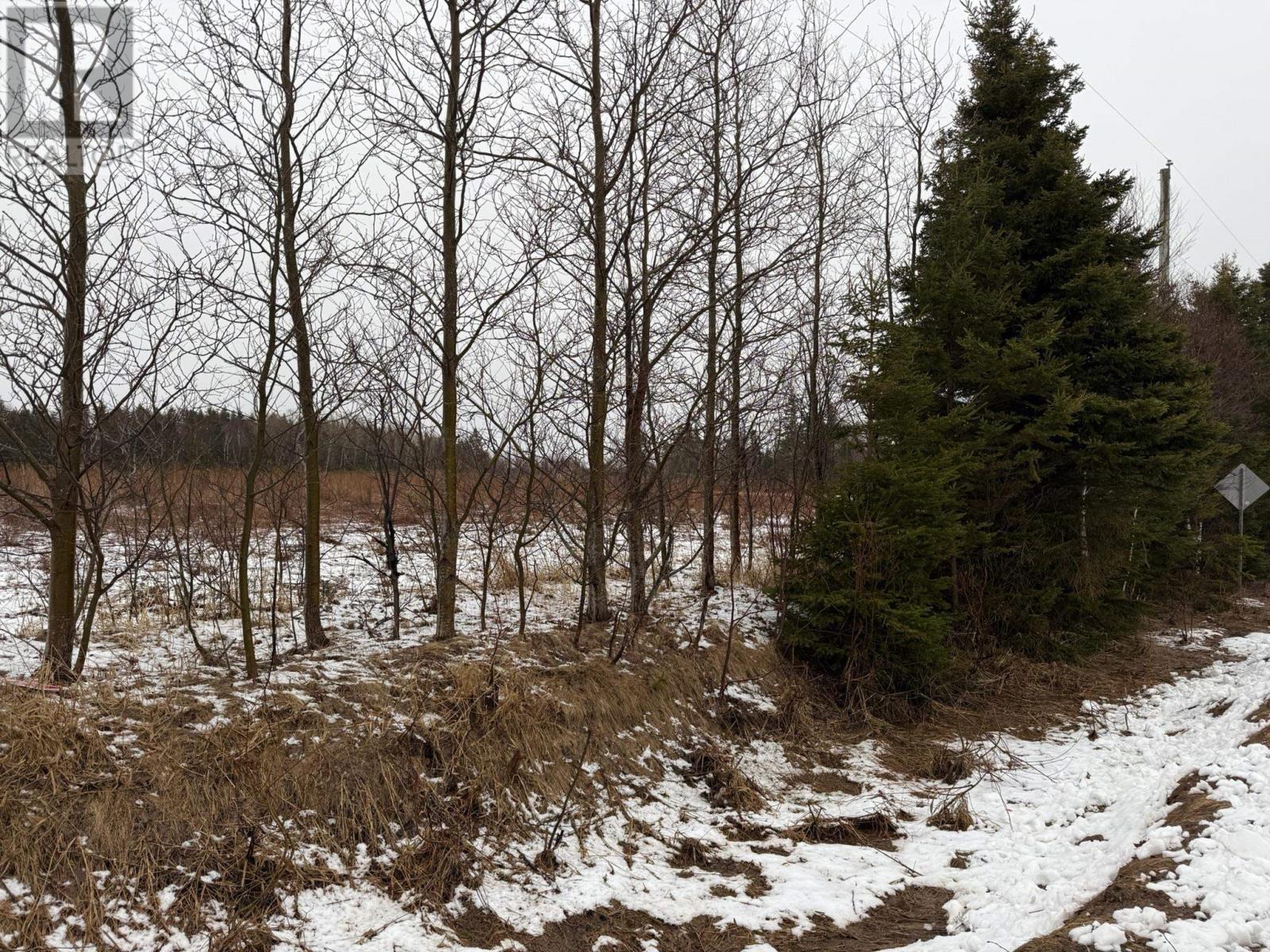 Lot Basin Head Road, Kingsboro, Prince Edward Island  C0A 2B0 - Photo 18 - 202601886