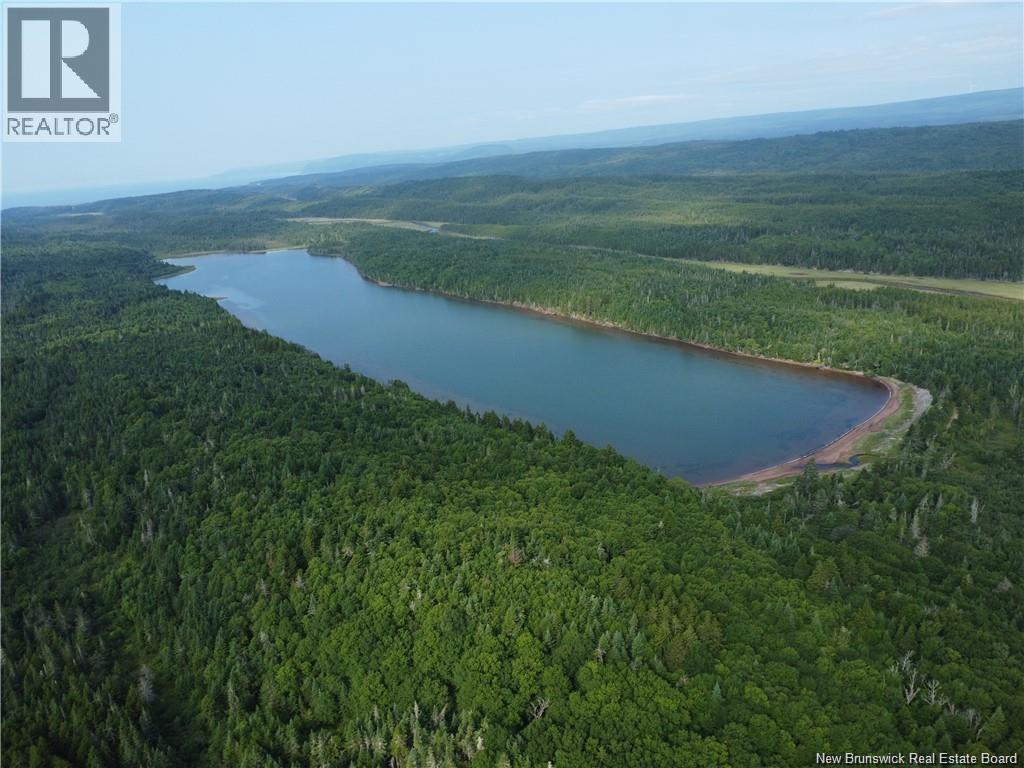 Lot Lockhart Lake, New Horton, New Brunswick  E4H 1W3 - Photo 19 - NB132993