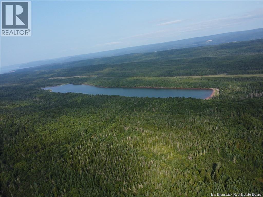 Lot Lockhart Lake, New Horton, New Brunswick  E4H 1W3 - Photo 21 - NB132993