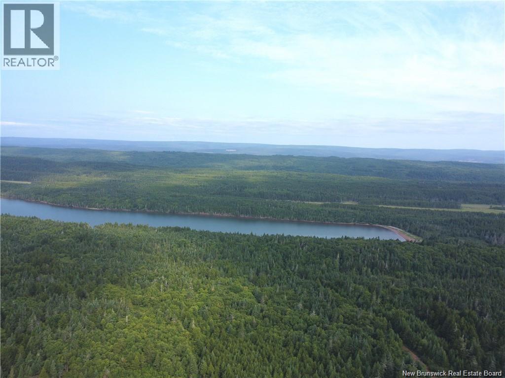 Lot Lockhart Lake, New Horton, New Brunswick  E4H 1W3 - Photo 23 - NB132993
