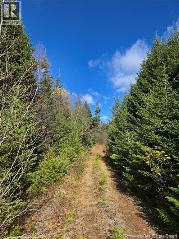 Lot Lockhart Lake, New Horton, New Brunswick  E4H 1W3 - Photo 26 - NB132993