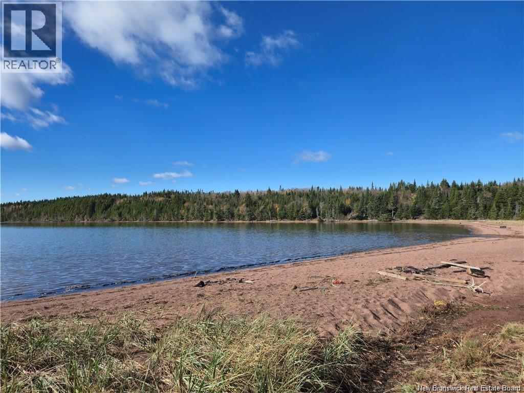 Lot Lockhart Lake, New Horton, New Brunswick  E4H 1W3 - Photo 4 - NB132993