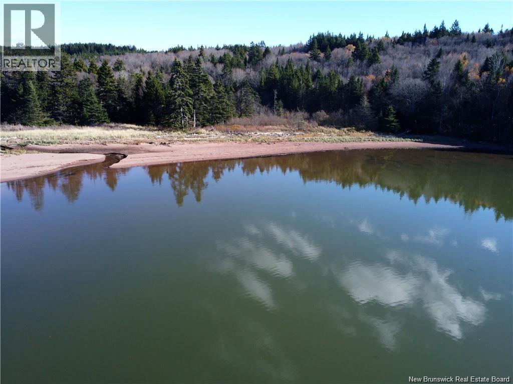 Lot Lockhart Lake, New Horton, New Brunswick  E4H 1W3 - Photo 7 - NB132993