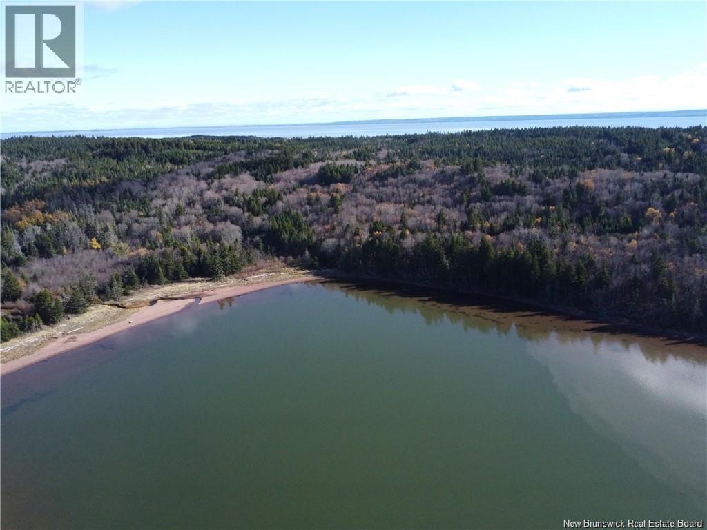 Lot Lockhart Lake, New Horton, New Brunswick  E4H 1W3 - Photo 9 - NB132993