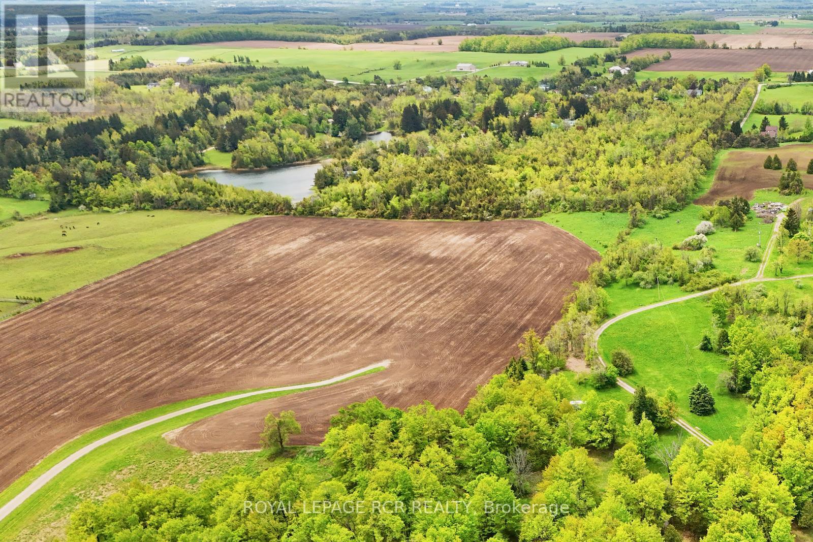 716582 1st Line E H S, Mulmur, Ontario  L9V 0G2 - Photo 4 - X12748172