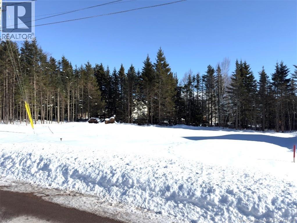 29 Burman Street, Sackville, New Brunswick  E4L 0E7 - Photo 4 - NB132891