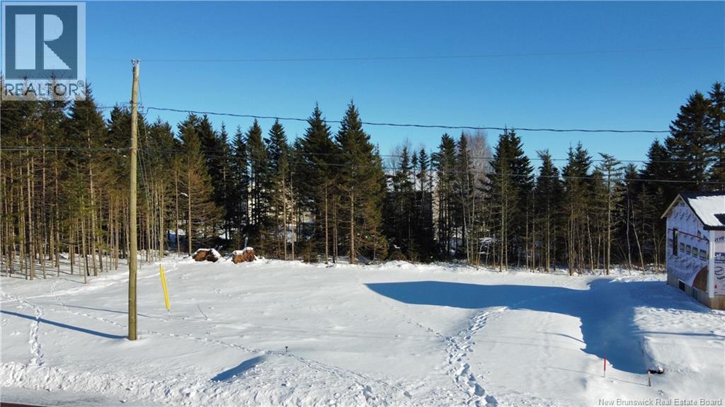 29 Burman Street, Sackville, New Brunswick  E4L 0E7 - Photo 3 - NB132891