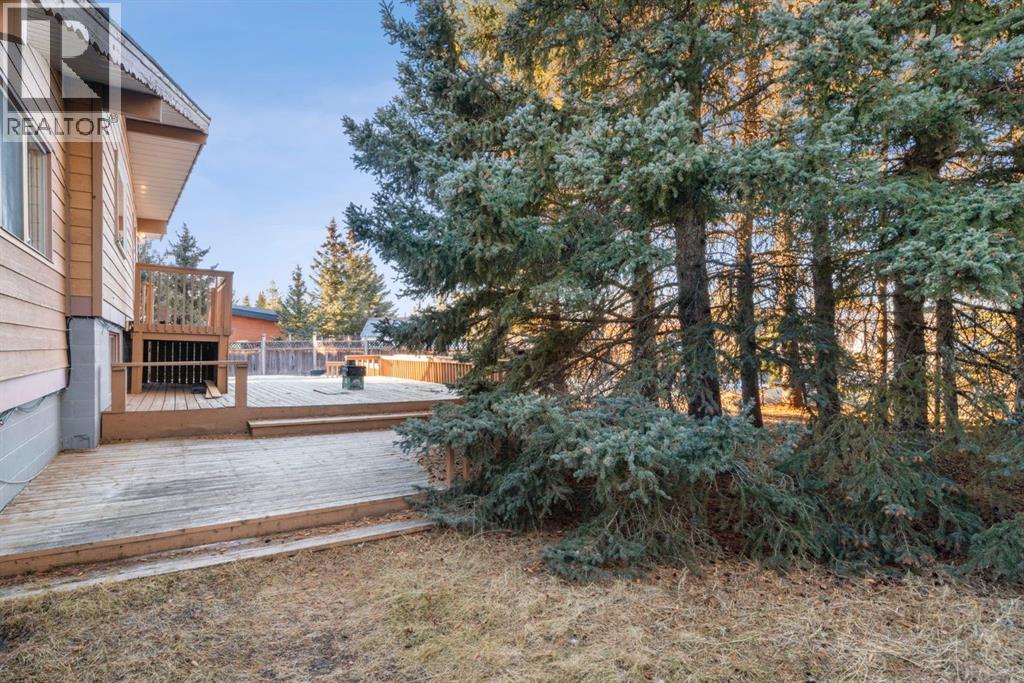 17 Gibson Road, Benchlands, Alberta  T0L 0N0 - Photo 40 - A2278850