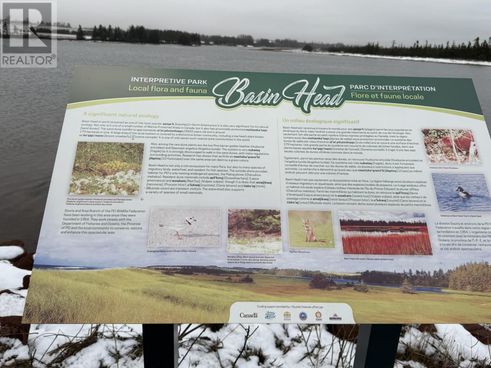 Lot Basin Head Road, Kingsboro, Prince Edward Island  C0A 2B0 - Photo 22 - 202601886