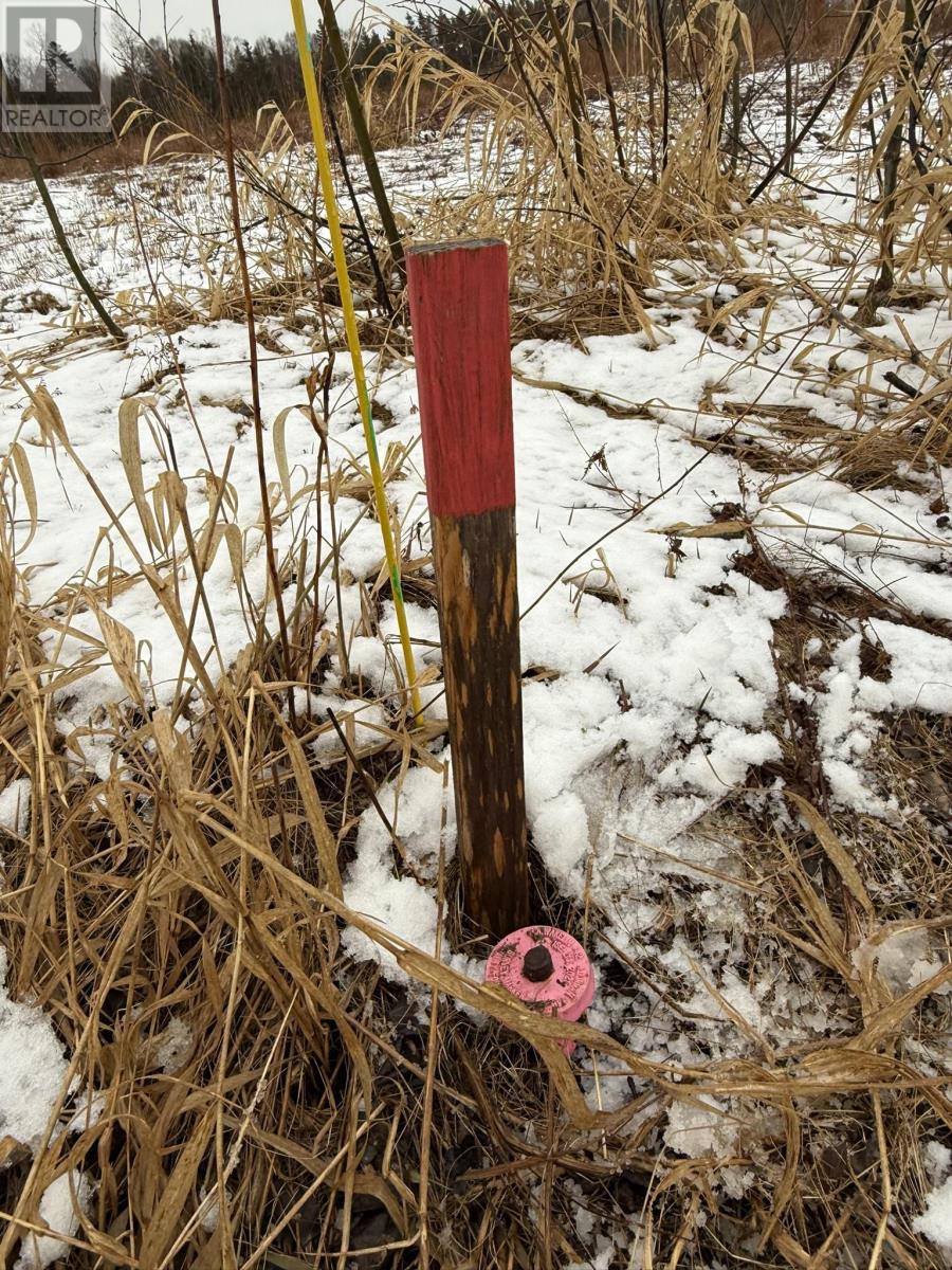 Lot Basin Head Road, Kingsboro, Prince Edward Island  C0A 2B0 - Photo 8 - 202601886