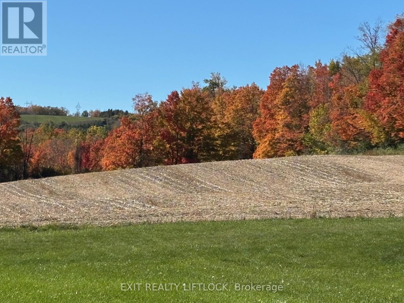 404 Morton Line, Cavan Monaghan, Ontario  L0A 1C0 - Photo 30 - X12155185