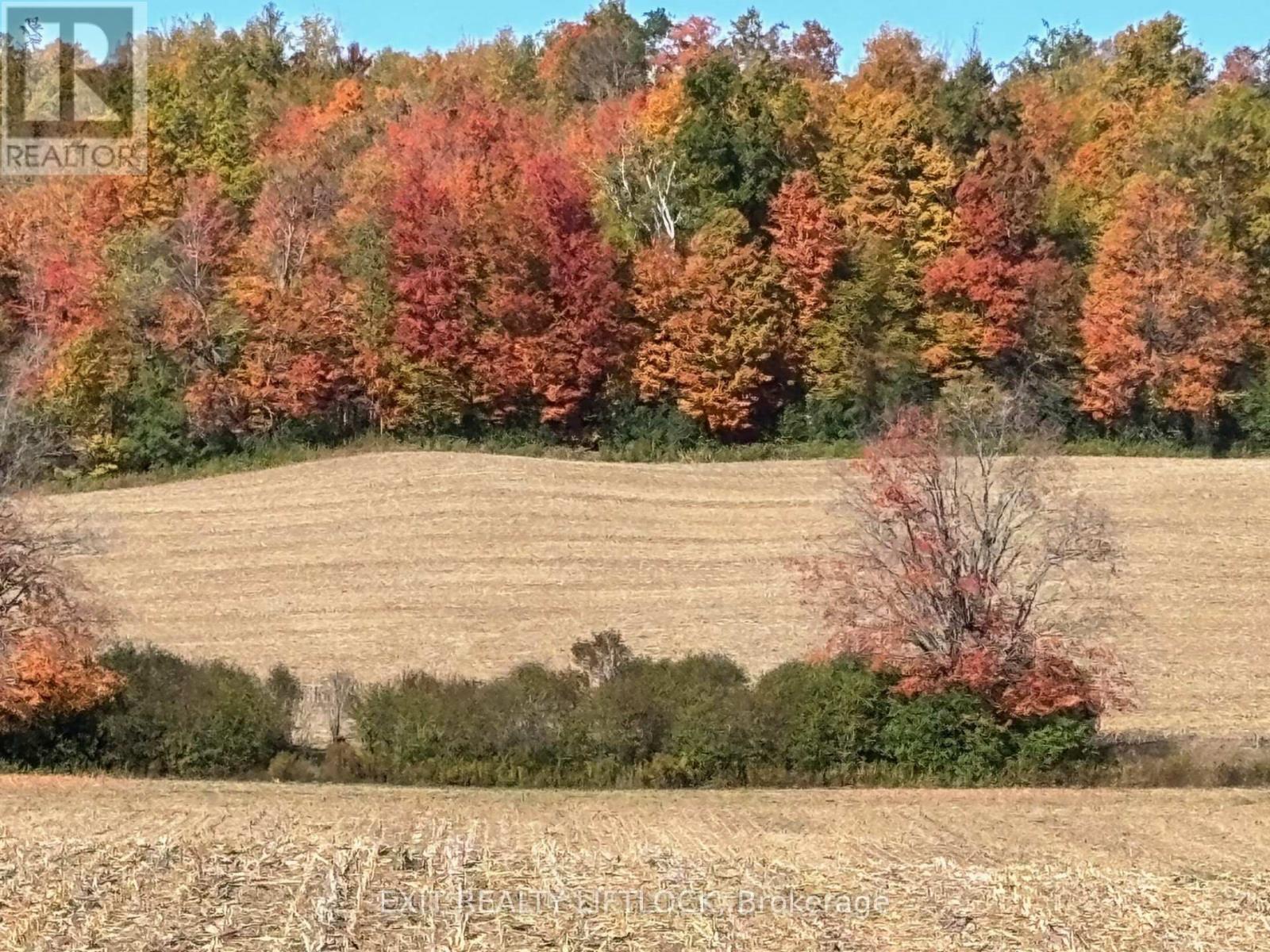 404 Morton Line, Cavan Monaghan, Ontario  L0A 1C0 - Photo 27 - X12155185