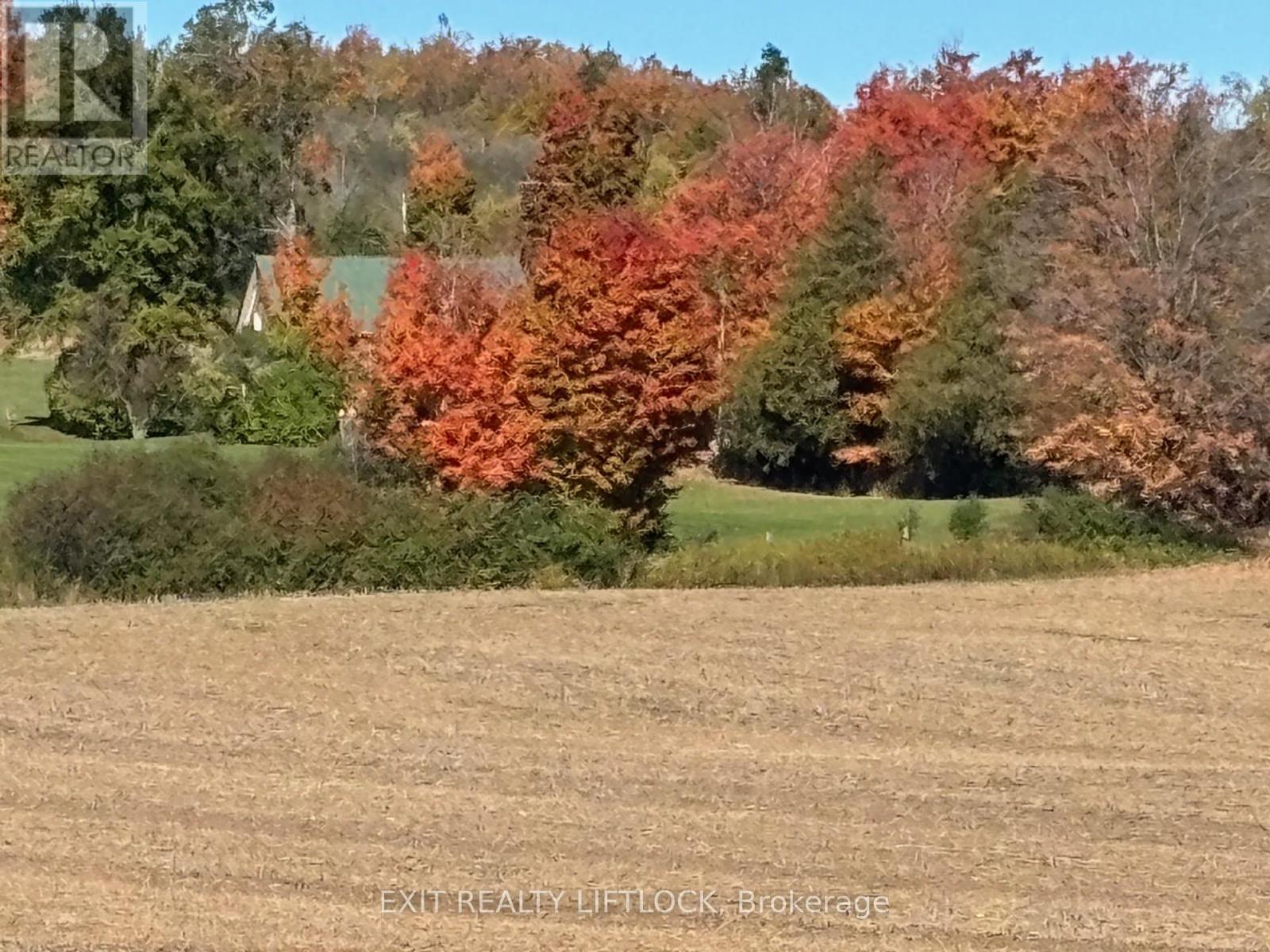 404 Morton Line, Cavan Monaghan, Ontario  L0A 1C0 - Photo 29 - X12155185