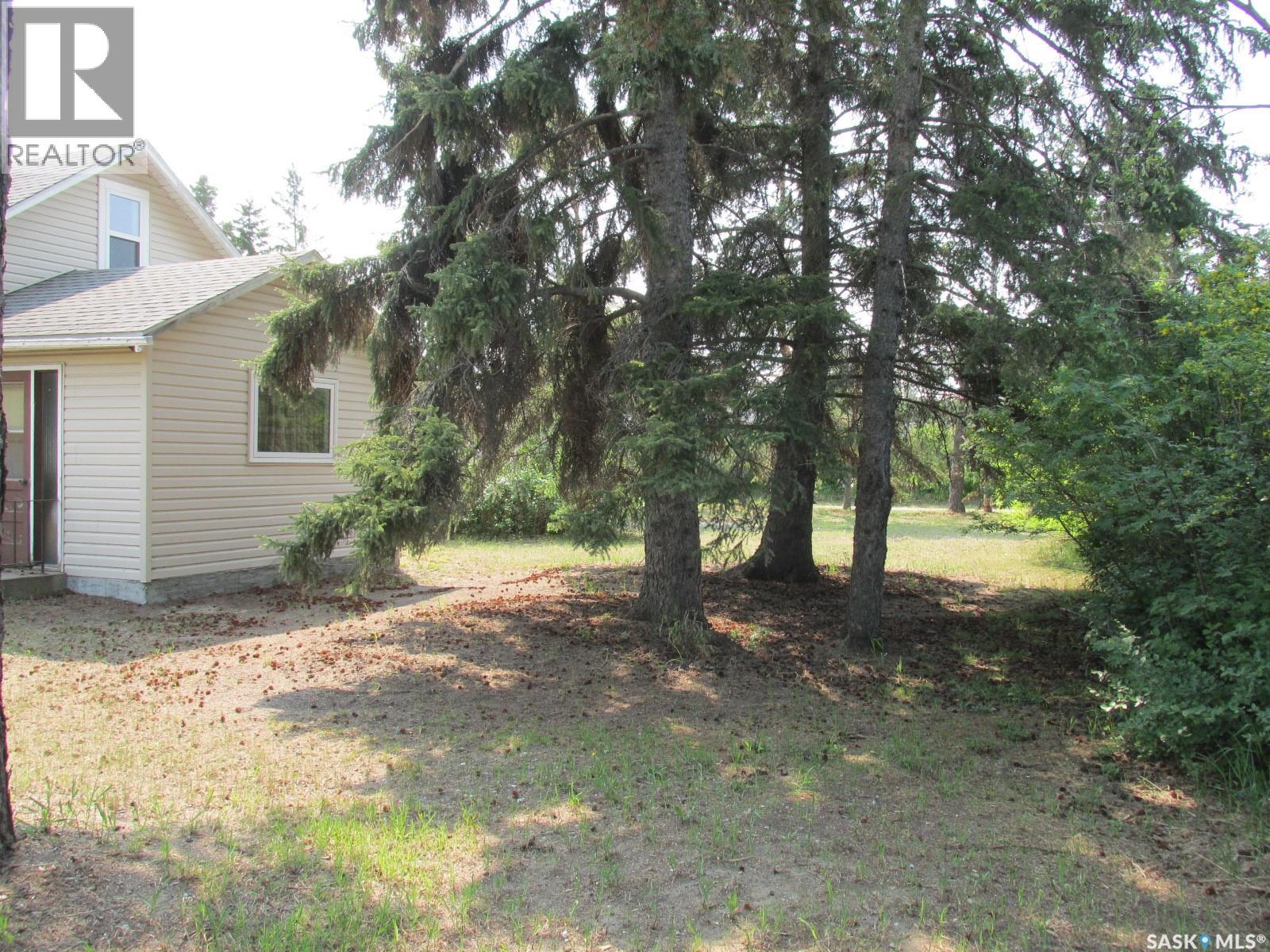 115 Lucille Crescent, Nipawin, Saskatchewan  S0E 1E0 - Photo 45 - SK010003