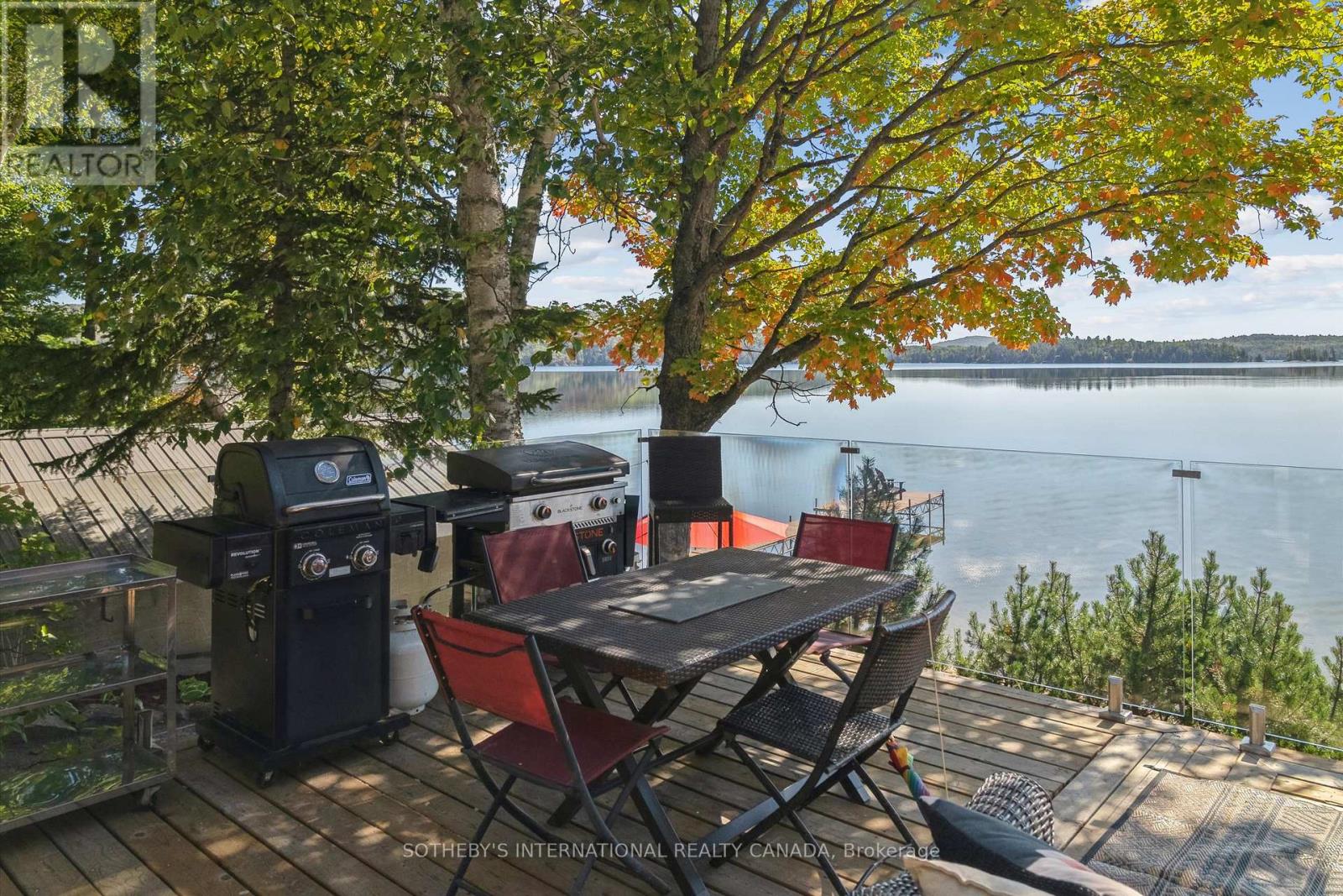 30 Tara Court, Hastings Highlands, Ontario  K0L 2R0 - Photo 29 - X12748410