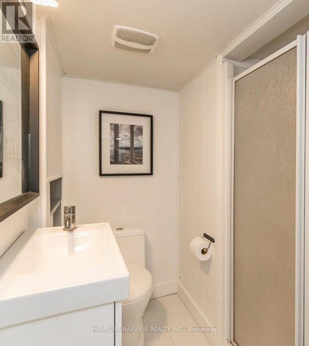 Basement - 163 Gunn Street, Barrie, Ontario  L4M 2H8 - Photo 13 - S12748774