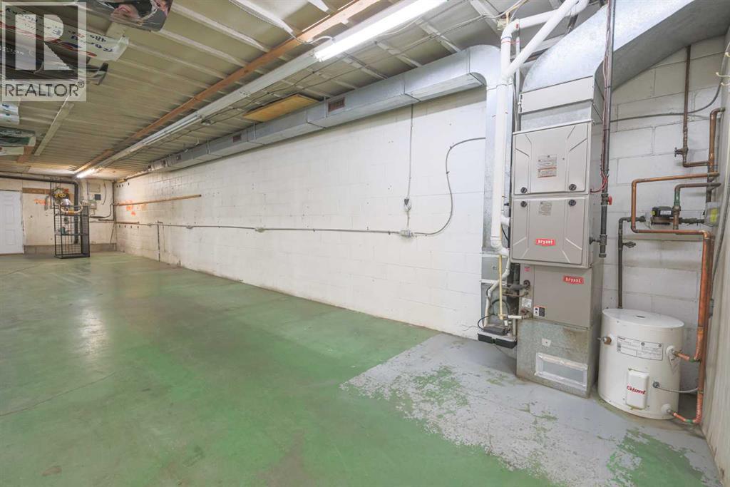 4834 49 Street, Rocky Mountain House, Alberta  T4T 1P9 - Photo 6 - A2215463