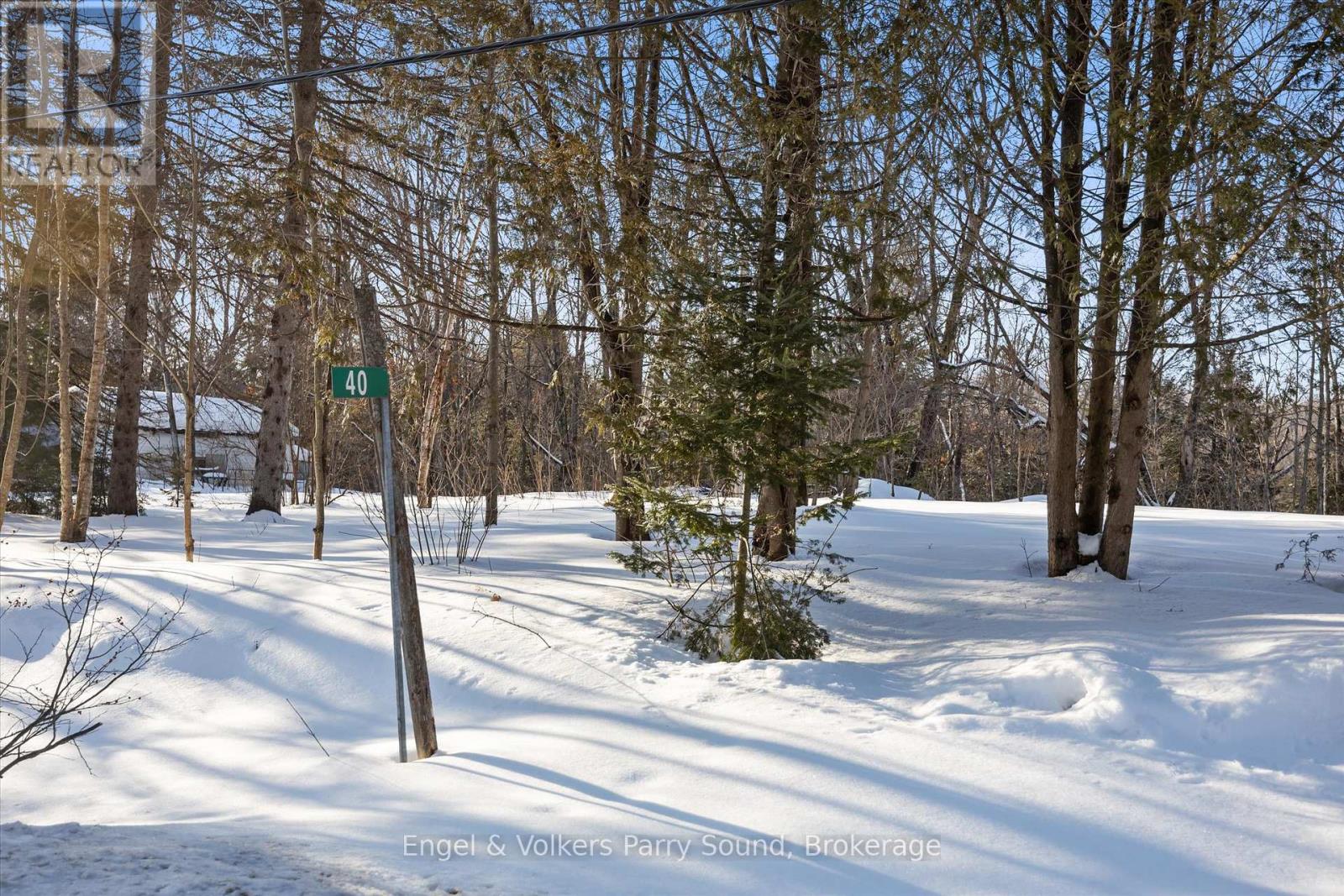 40 Miller Drive, Mcdougall, Ontario  P2A 2W7 - Photo 4 - X12748968