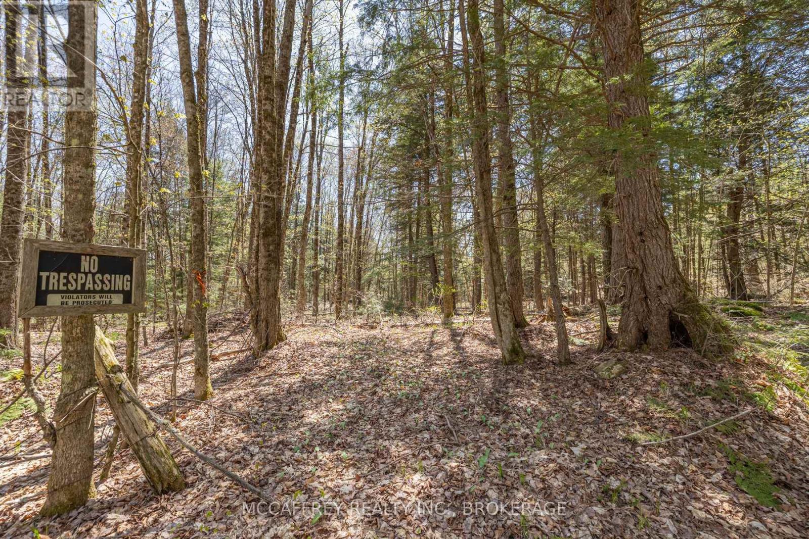 1088 Kashwakamak Lake Road, Frontenac (Frontenac North), Ontario  K0H 1B0 - Photo 16 - X12749142