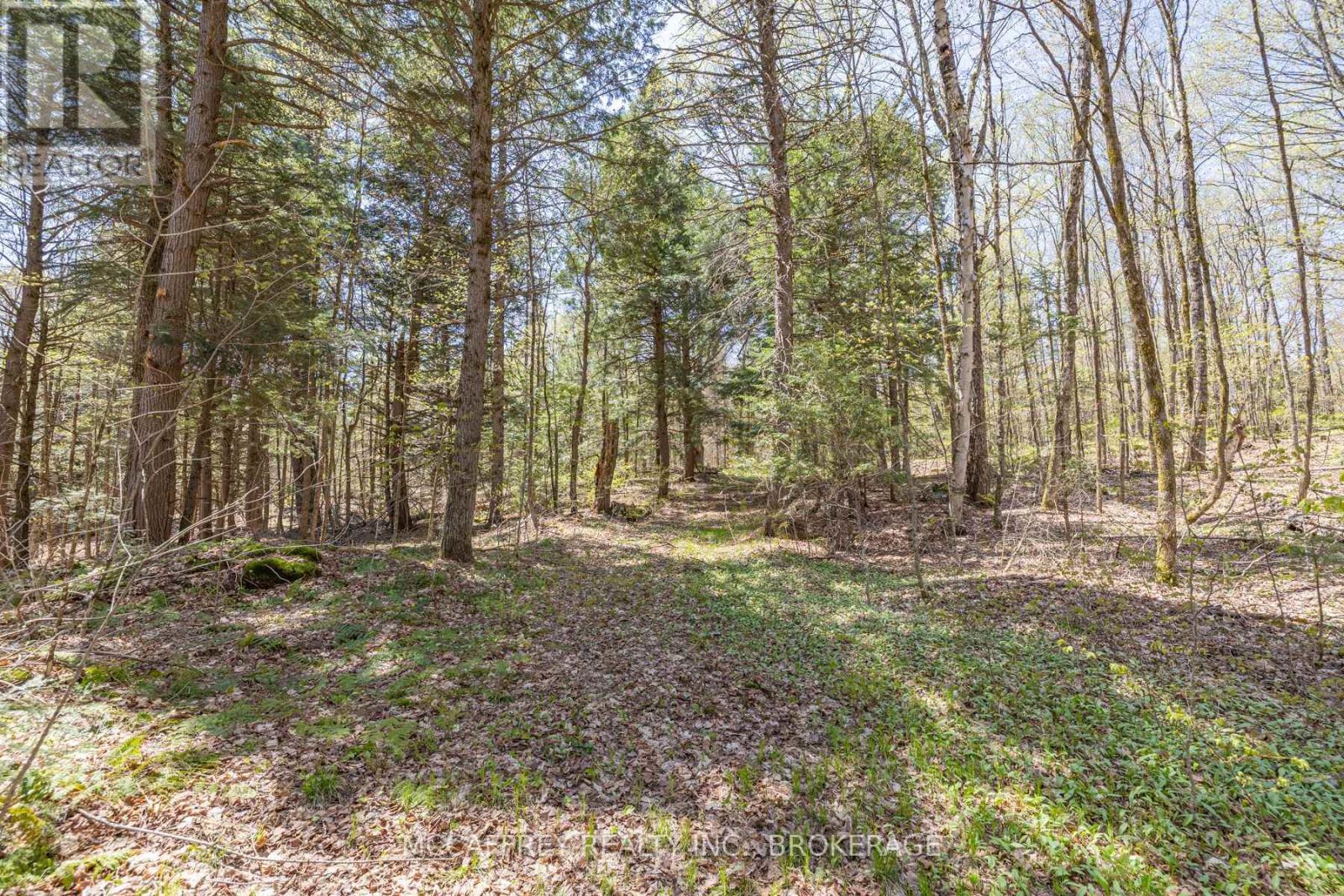 1088 Kashwakamak Lake Road, Frontenac (Frontenac North), Ontario  K0H 1B0 - Photo 17 - X12749142