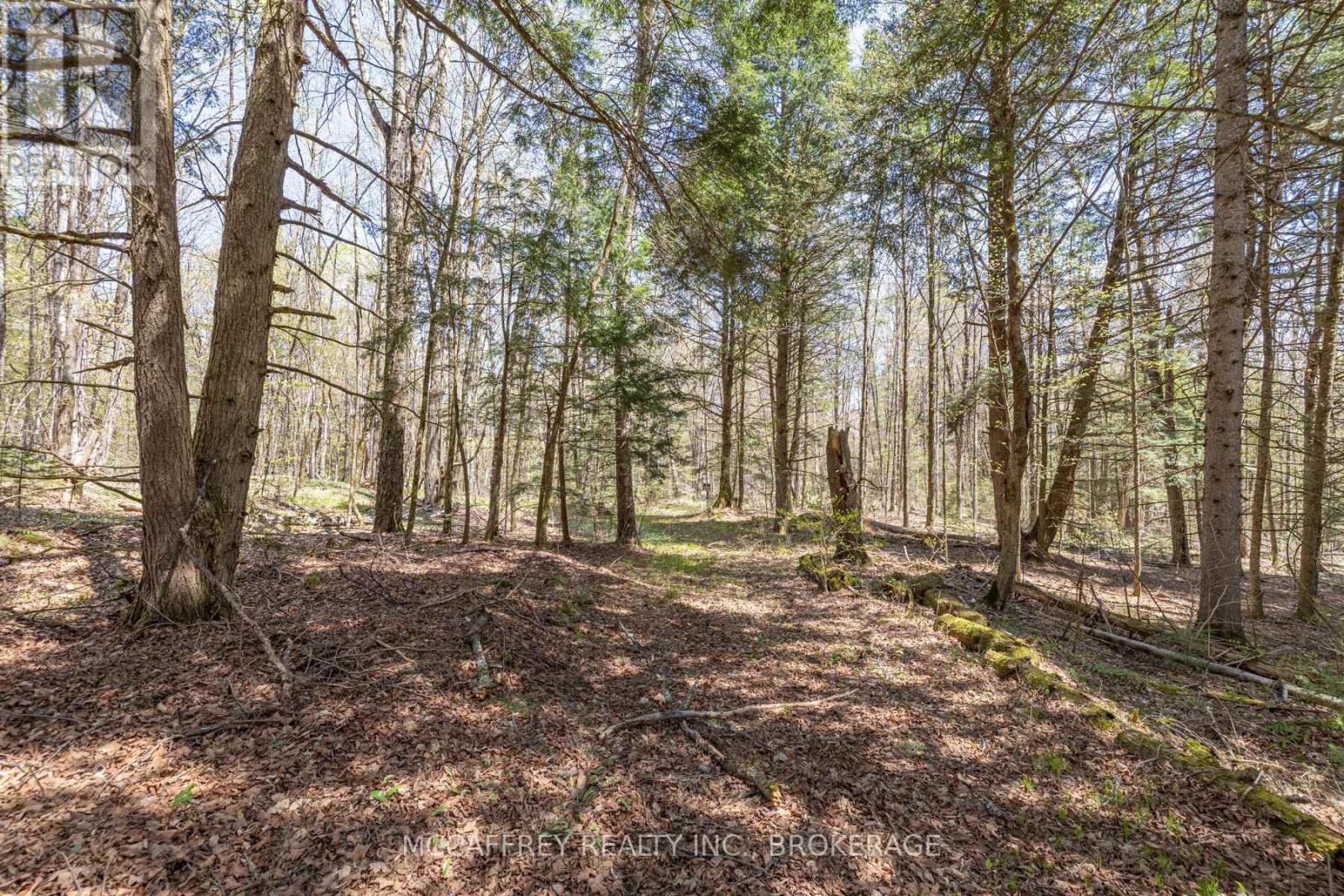 1088 Kashwakamak Lake Road, Frontenac (Frontenac North), Ontario  K0H 1B0 - Photo 18 - X12749142