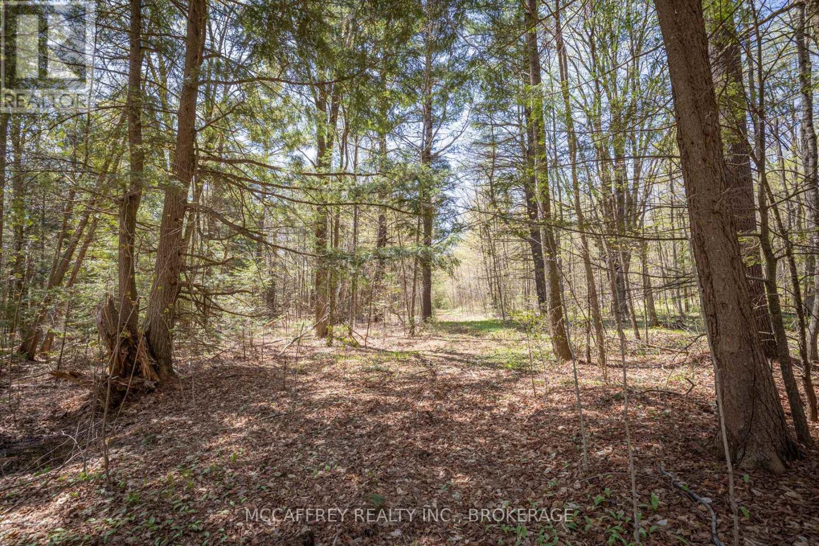 1088 Kashwakamak Lake Road, Frontenac (Frontenac North), Ontario  K0H 1B0 - Photo 19 - X12749142