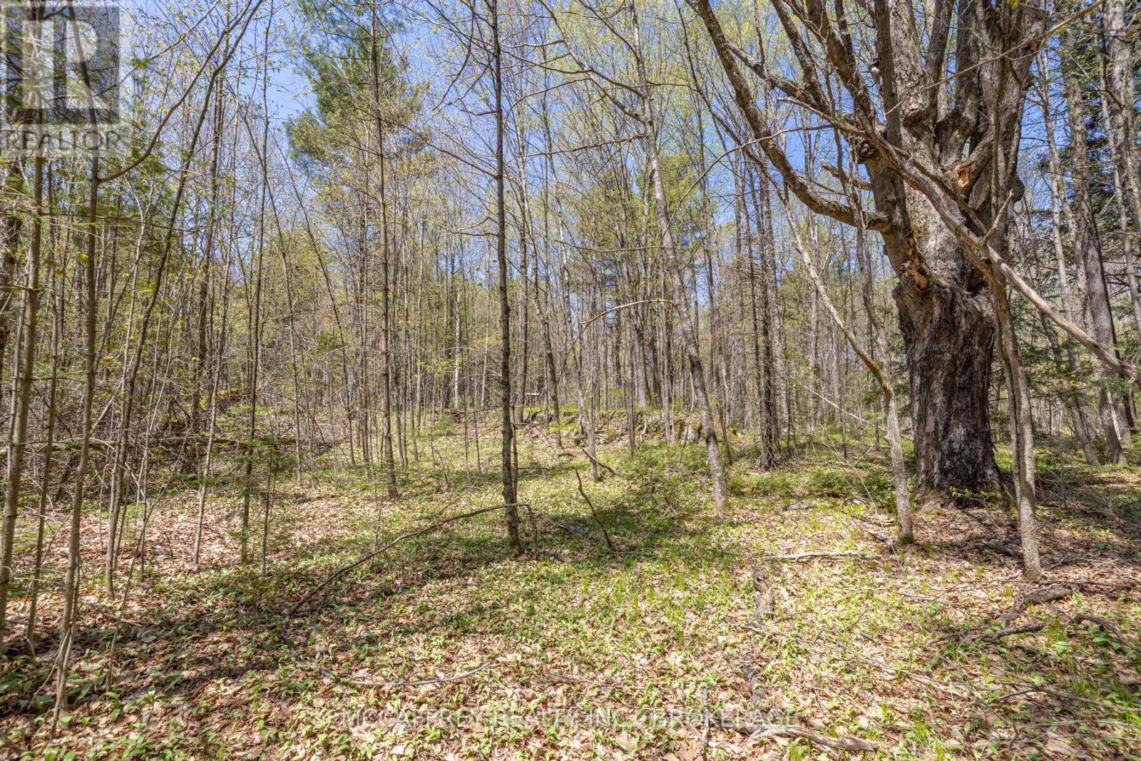 1088 Kashwakamak Lake Road, Frontenac (Frontenac North), Ontario  K0H 1B0 - Photo 20 - X12749142