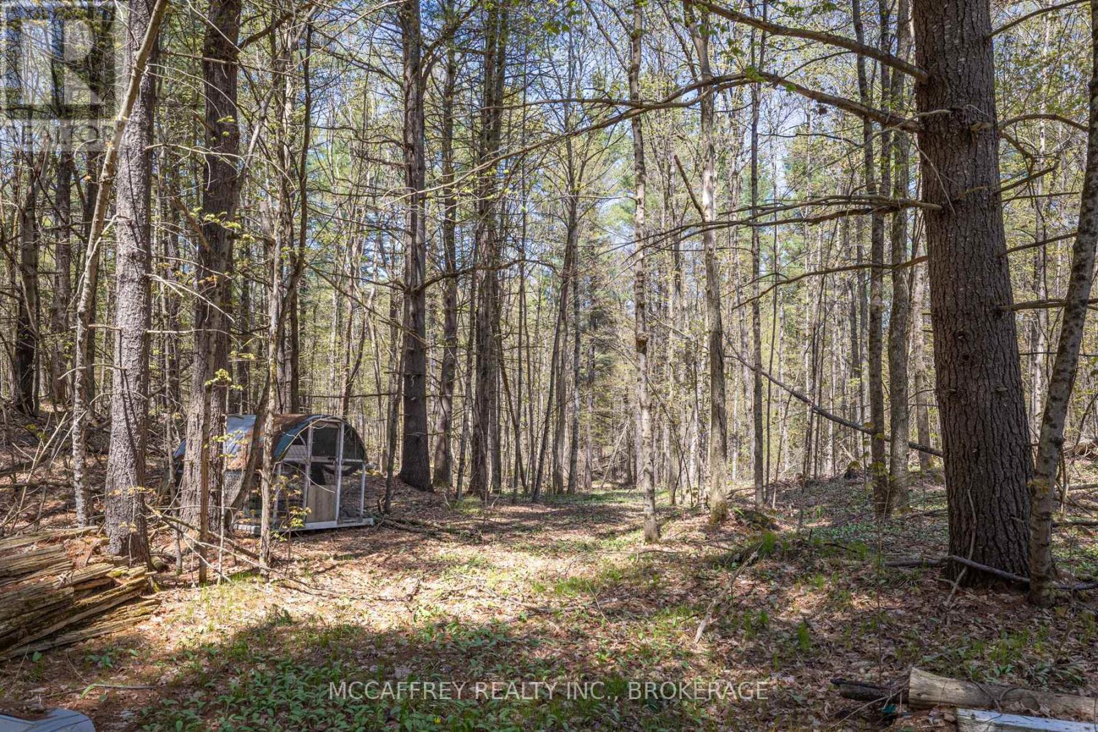 1088 Kashwakamak Lake Road, Frontenac (Frontenac North), Ontario  K0H 1B0 - Photo 23 - X12749142