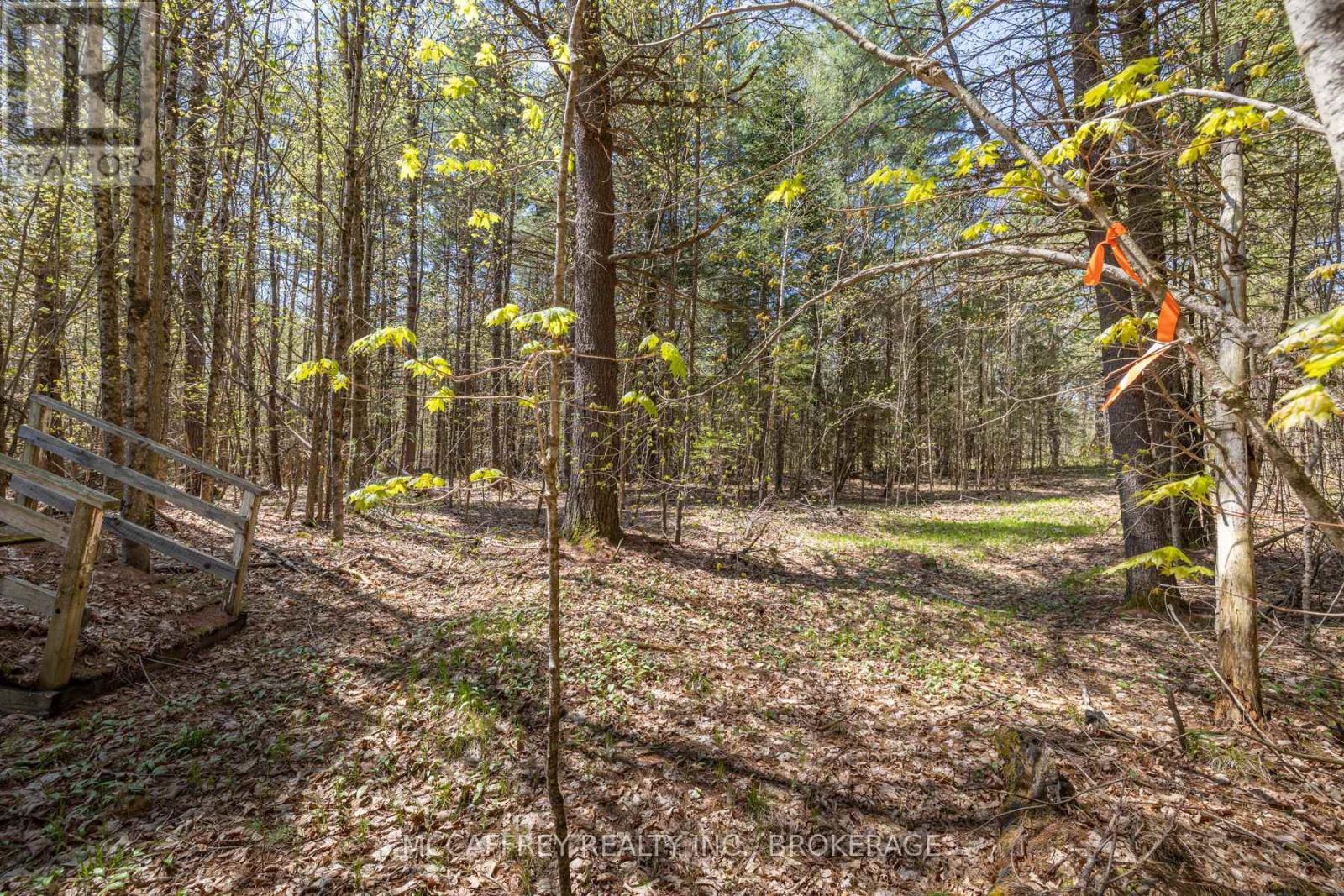 1088 Kashwakamak Lake Road, Frontenac (Frontenac North), Ontario  K0H 1B0 - Photo 24 - X12749142