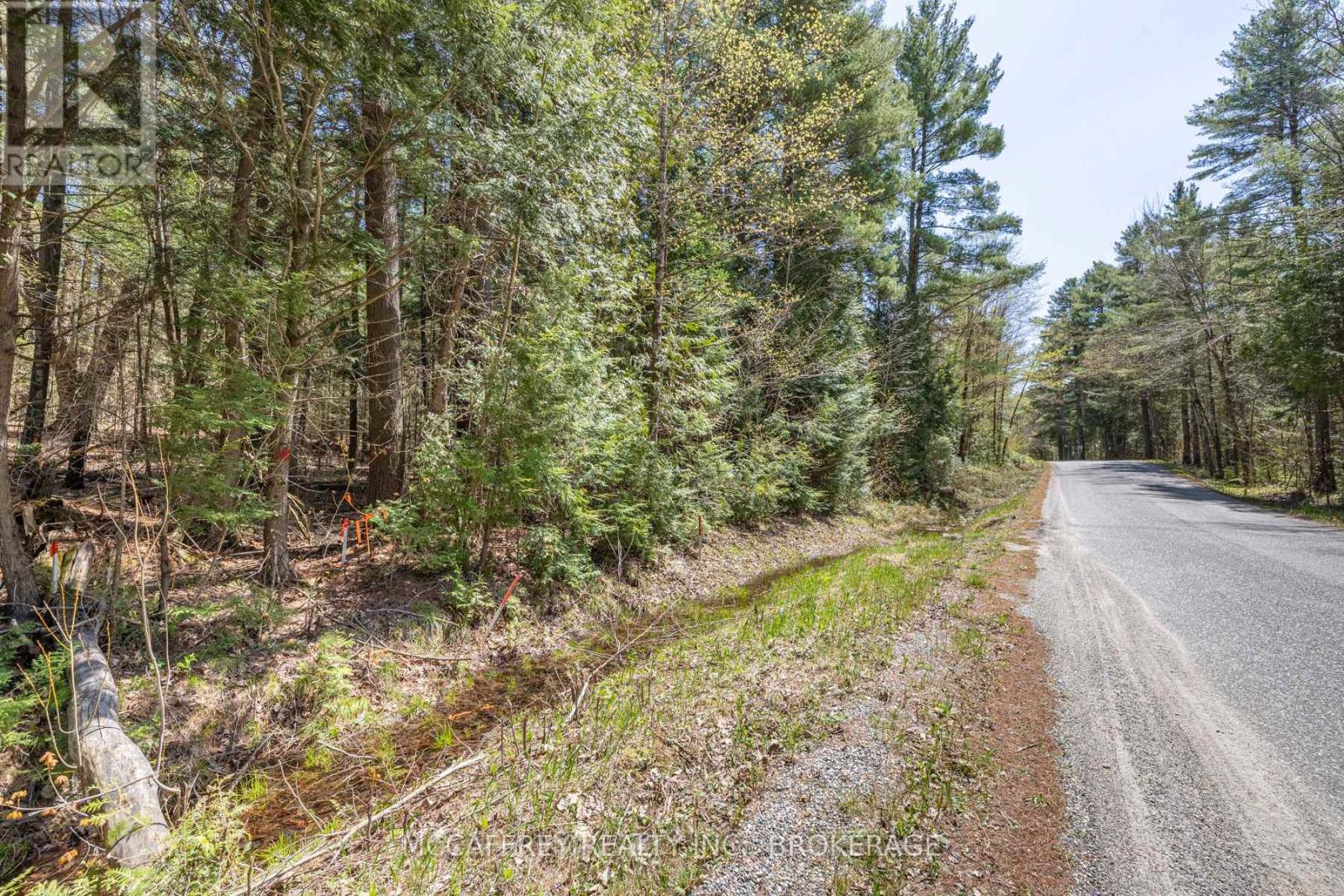 1088 Kashwakamak Lake Road, Frontenac (Frontenac North), Ontario  K0H 1B0 - Photo 32 - X12749142