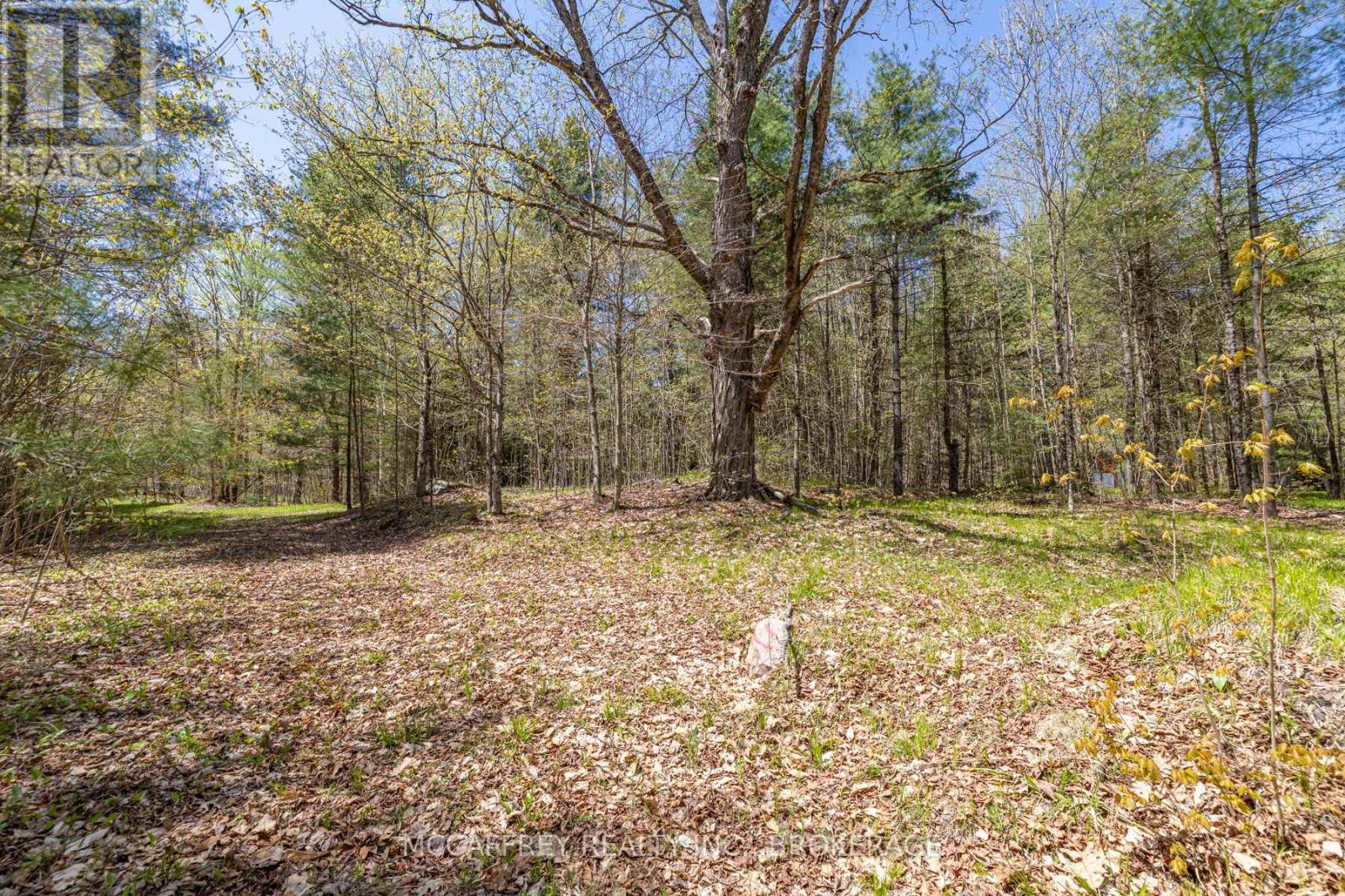 1088 Kashwakamak Lake Road, Frontenac (Frontenac North), Ontario  K0H 1B0 - Photo 38 - X12749142