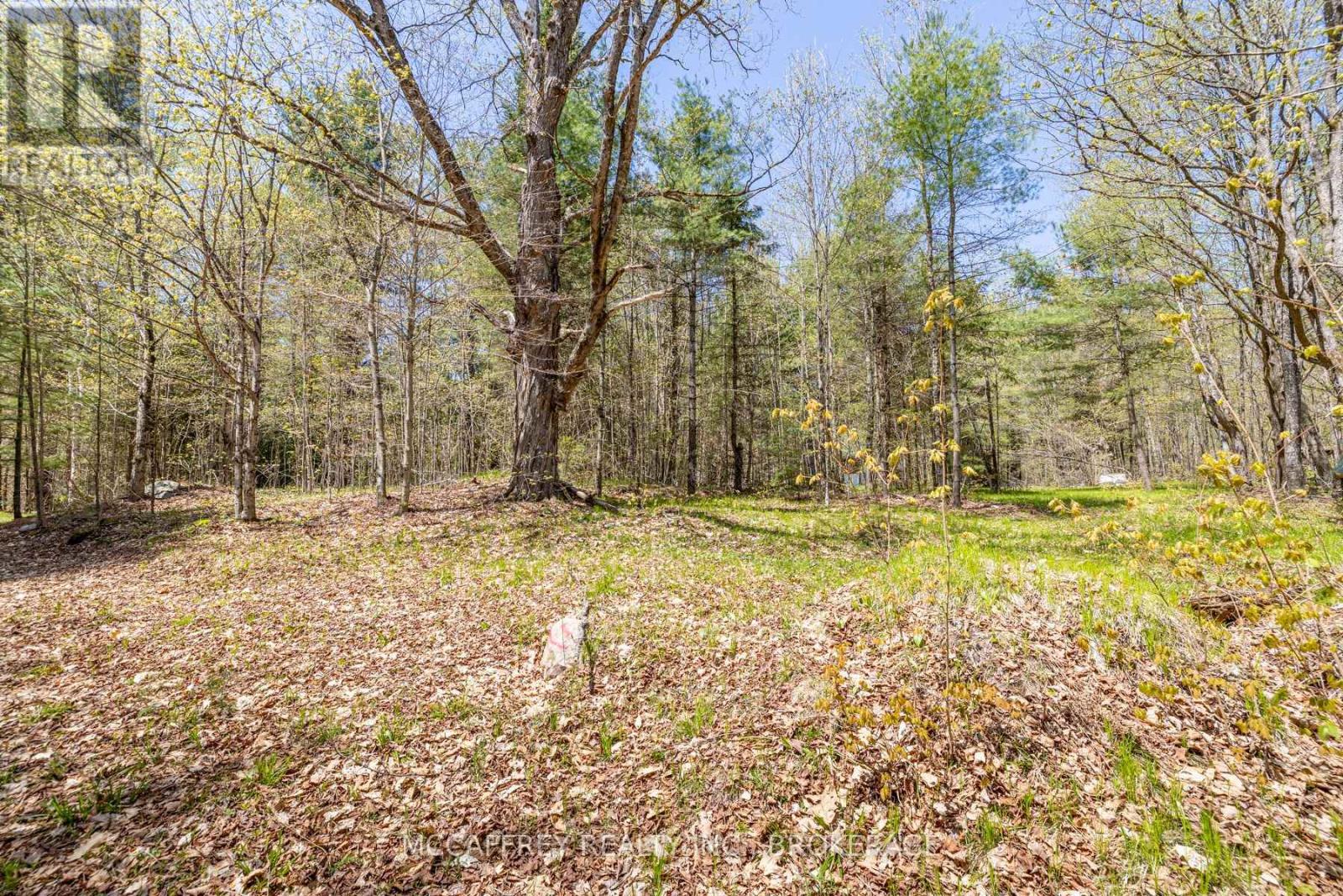 1088 Kashwakamak Lake Road, Frontenac (Frontenac North), Ontario  K0H 1B0 - Photo 39 - X12749142