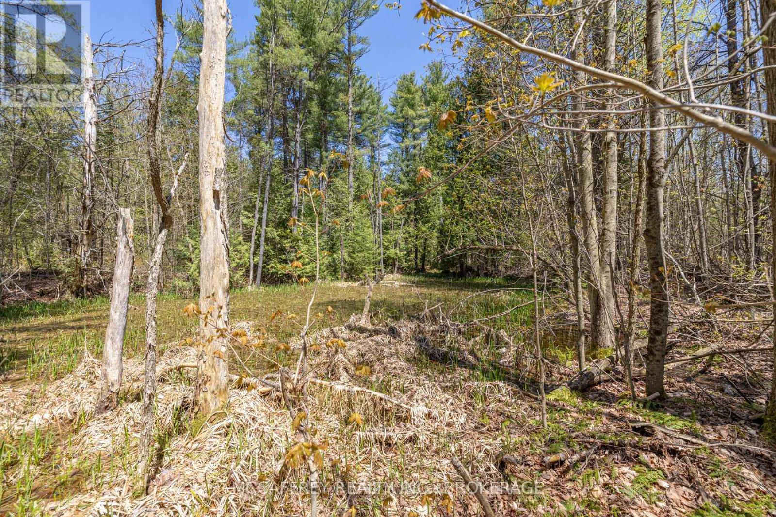 1088 Kashwakamak Lake Road, Frontenac (Frontenac North), Ontario  K0H 1B0 - Photo 45 - X12749142